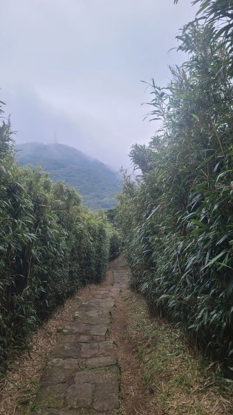 2026-0116 大屯三山_貴子坑_北投2984836