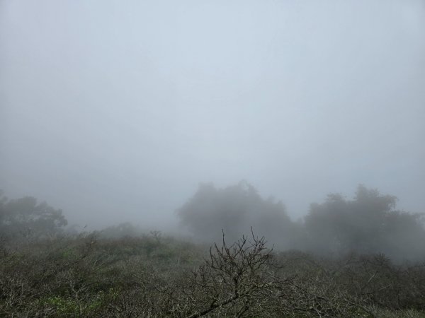 馬那邦山之雲海／雲瀑／楓紅／太陽琉璃光2668323