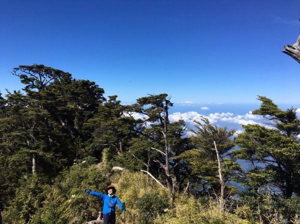 首百岳北大武山大失眠660739