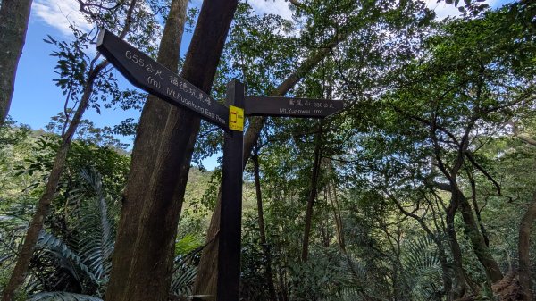 114.11.22鳶山彩碧-鳶山-鳶尾山之旅2943524