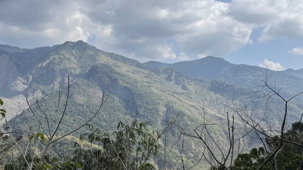 20260212 小百岳白雲山及西阿里關山3002904