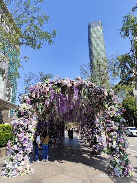 台北信義商圈步道、大港墘公園夜景2723234