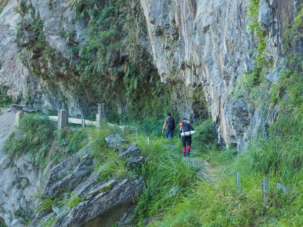 [百岳]能高越嶺逆走與奇萊南峰1042680