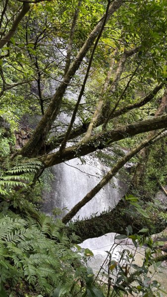 戲水（耘雲姊2786107