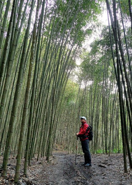 熱血一日霞喀羅賞楓之旅2784990