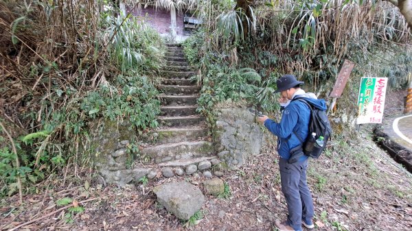 20250218 金柑樹山+忘憂森林2719532