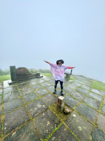 灣坑頭山(小百岳#82)2884256