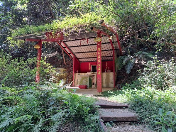 2026森遊竹縣：仁和步道，金獅古道3107295