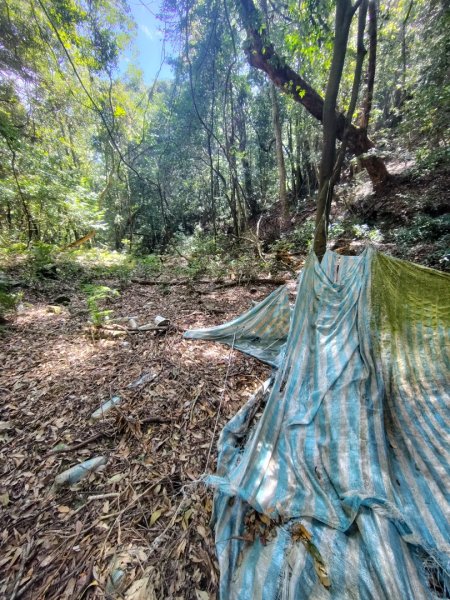 南東眼山連走有勝山2918754