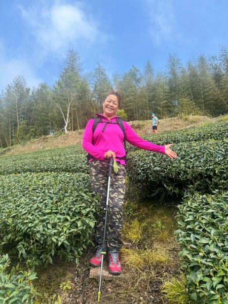 月眉山、海鼠山、生毛樹山、野薑花步道、進學古道3020760