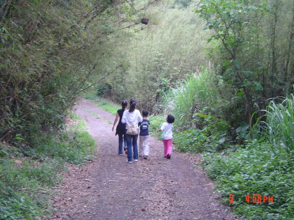 2008 Apr. 天母之下竹林步道584605