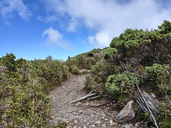 北一段(12/14)南湖北山 2025_0906~132887453