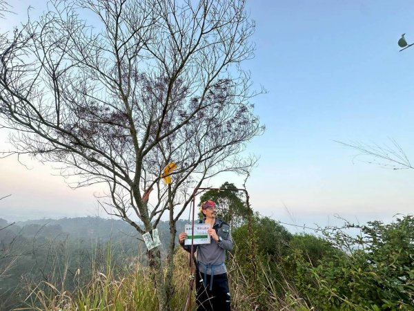 20251213 高雄觀音山15連峰🤔一直走不回頭繞2961514