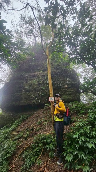 20260118五四縱走2984045