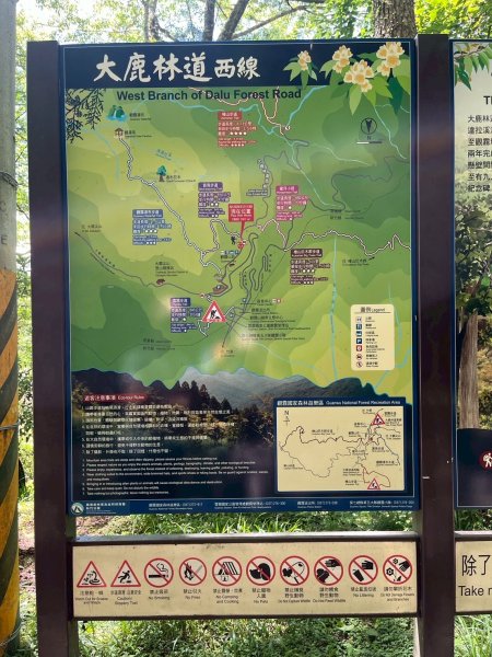 新竹 五峰 觀霧國家森林遊樂區 大鹿林道西線 榛山步道2811374