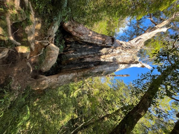 20221112_北得拉曼山2762275