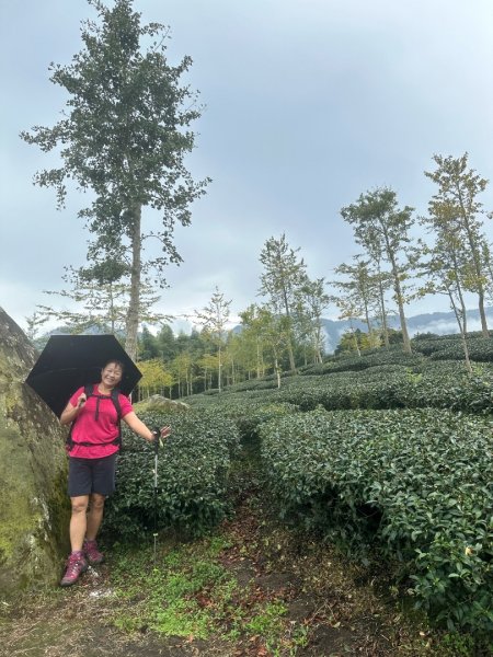 溪頭山、竹崙山、志騰山、妖怪村2877891