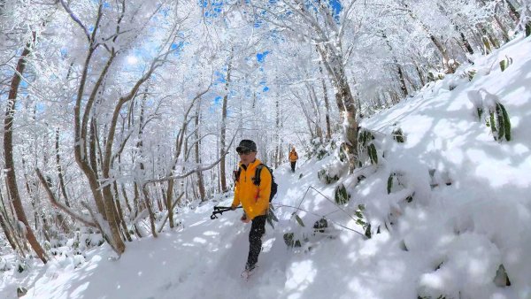 超綺麗夢幻的粉雪奇緣山行記在日本名古屋南沢山2781212