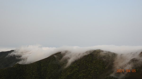 0405陽明山再見雲瀑，今年以來最滿意的一次1335465