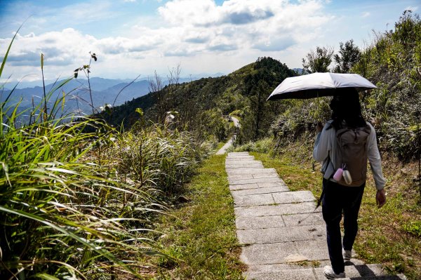 五分山｜小百岳2915449