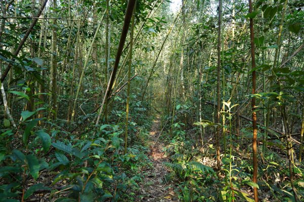 新北 烏來 山車廣山、檜山2567365