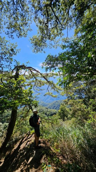 20251014雪見遊憩區 🚴‍♂️咖搭車走司馬限林道上東洗水山兩刷北坑山至大板根2916456