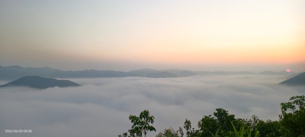 #坪林 #火燒雲 #日出 #雲海 #觀音圈 #金山 #花鳥蝶 6/3&4&163068883