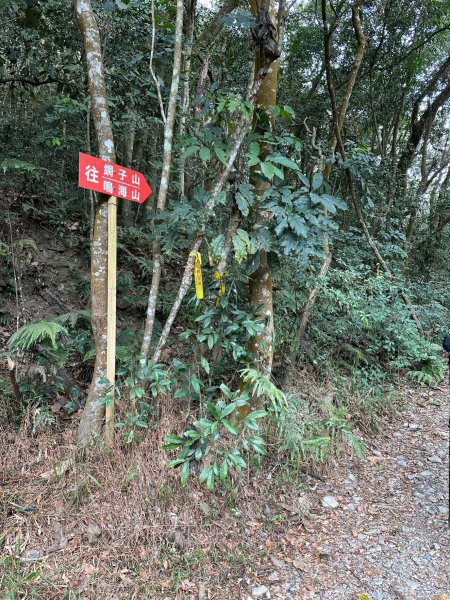 網子山、網子山東北峰、鳴海下山、鳴海山連走2040650