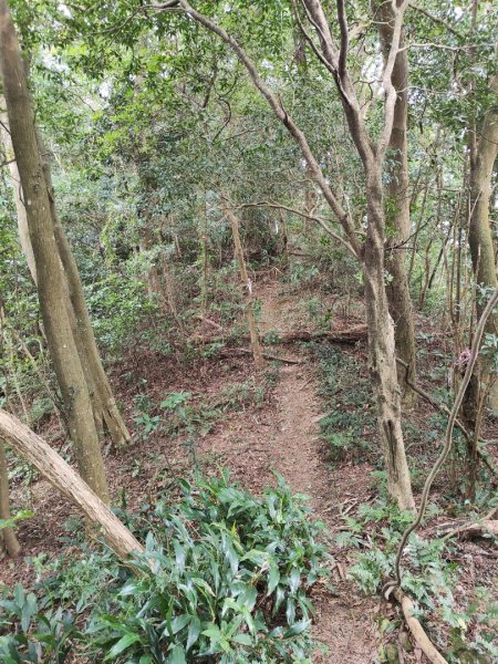 2023.12.27 大溪金面山2839307