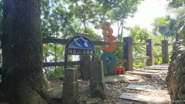 《台中》虎頭蜂巢｜大坑5號登頭嵙山黑松亭（聖普宮）