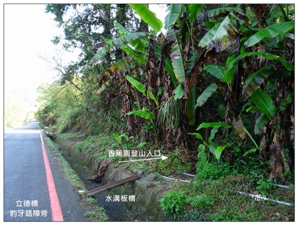 溪頭/鳳凰山步道2093507