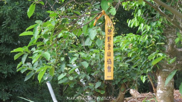 《彰化》稜線雙龍｜田中森林登山步道O型202506292824378