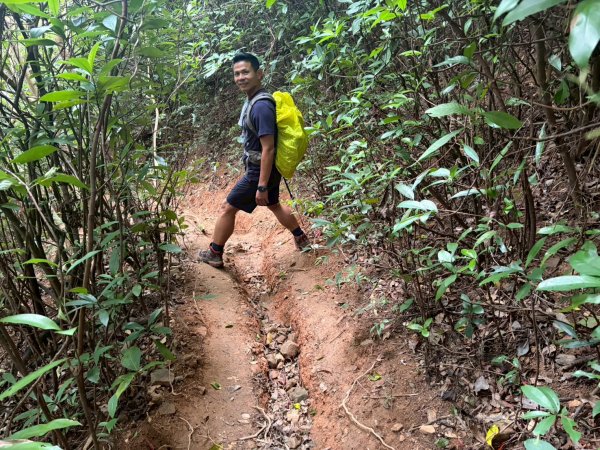 浸水營古道【因為熱門才能變得方便】3003174