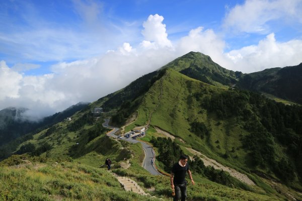 武嶺拍鳥順遊石門山及合歡尖山704484