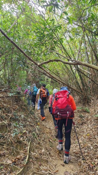 【恆春縱走】斯卡羅縱走2769711