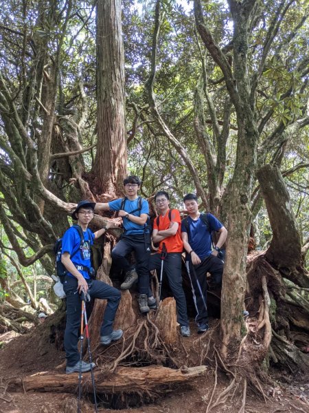 中級山-高島縱走2888429