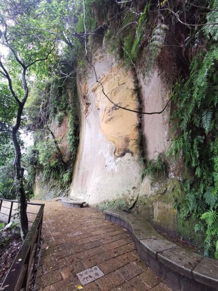 雨中漫步北部山岳-二格山、土庫岳、象山道1136815