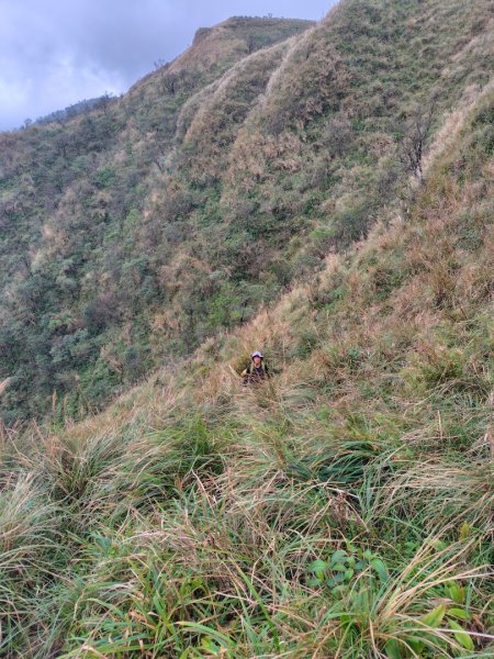 渭水之丘 烘爐地山 抹茶山 三角崙山2938754
