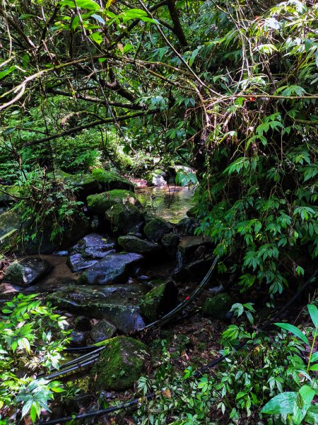 2025-06-15 銀河洞越嶺登山步道2816180