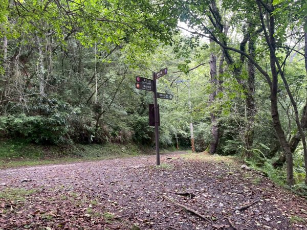 新竹 五峰 觀霧國家森林遊樂區 觀霧瀑布步道+賞鳥步道2811438