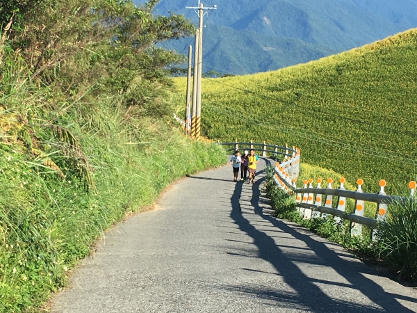 六十石山衝日出 - 金針花海之旅59298