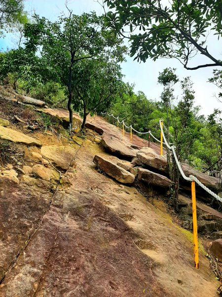 環台步道馬拉松之金面山、軍鑑岩1920021