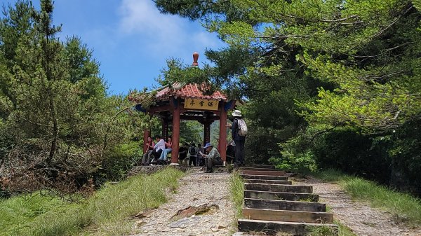 2026-0705-大雪山神木啞口健行3082587