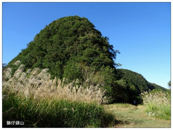 新店/獅仔頭山(小百岳)