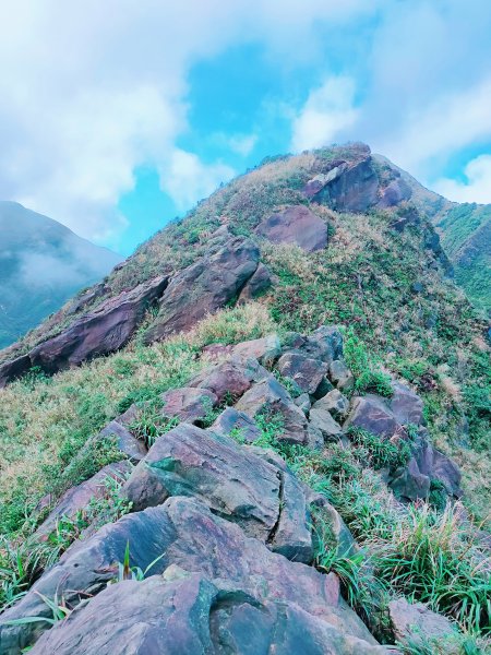 南子吝山、劍龍稜、鋸齒稜、半屏山、茶壺山（黃金7、5、6、3、2、4稜）1908086