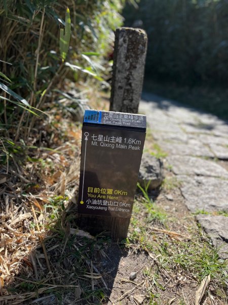 臺北大縱走第三段_登七星而小台北2910342