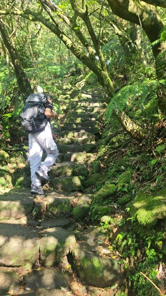 2026-0213 苗圃-凱達格蘭山-七星錐-七星山南峰-小油坑-竹子湖-水車寮步道-湖田猴崁步道-3005653