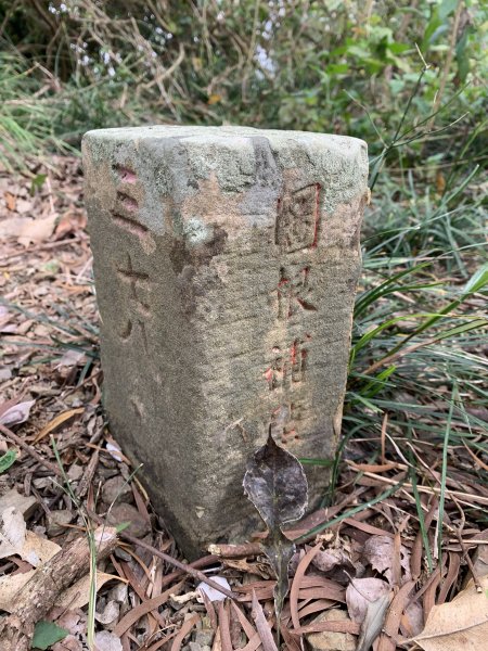 20250127屏東坪埔厝山-草山-南湖呂山西峰-南湖呂山2705089