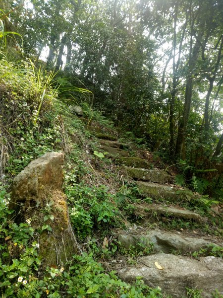 小百岳暗影山(高巢森活上)1909903