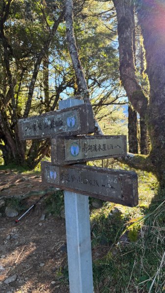 中央尖山 2025 11/7 三天兩夜2935758